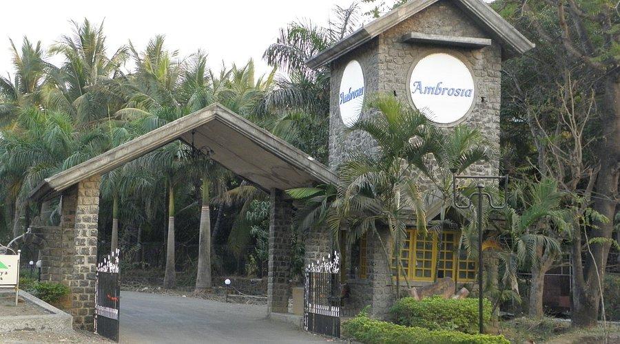 Ambrosia dining experience